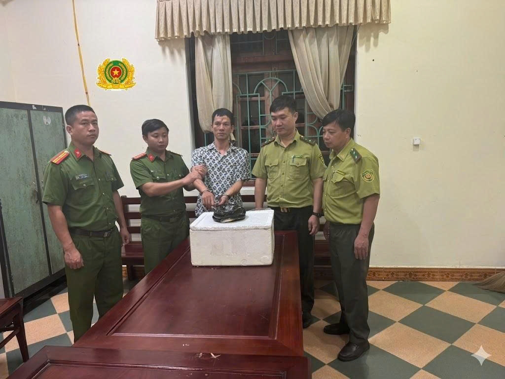 Bị khởi tố vì mua rắn hổ chúa để "sử dụng cá nhân"